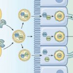 blog-image-1765678843192-0