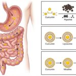 blog-image-1765680170499-0