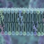 blog-image-1765680841605-0