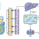 blog-image-1765681040919-0