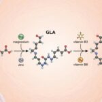 blog-image-1766126539157-0