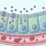 blog-image-1766277361595-0