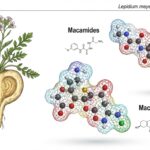 blog-image-1766641010700-0